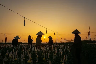 Streaming Platforms: Redefining Viewing Experiences